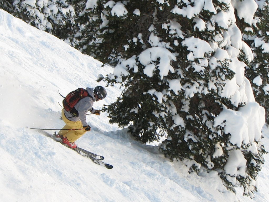 04_Alta_skidog_eaglesnest_090131.jpg