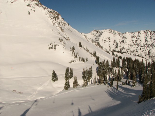 05 Alta Backside 081115.jpg