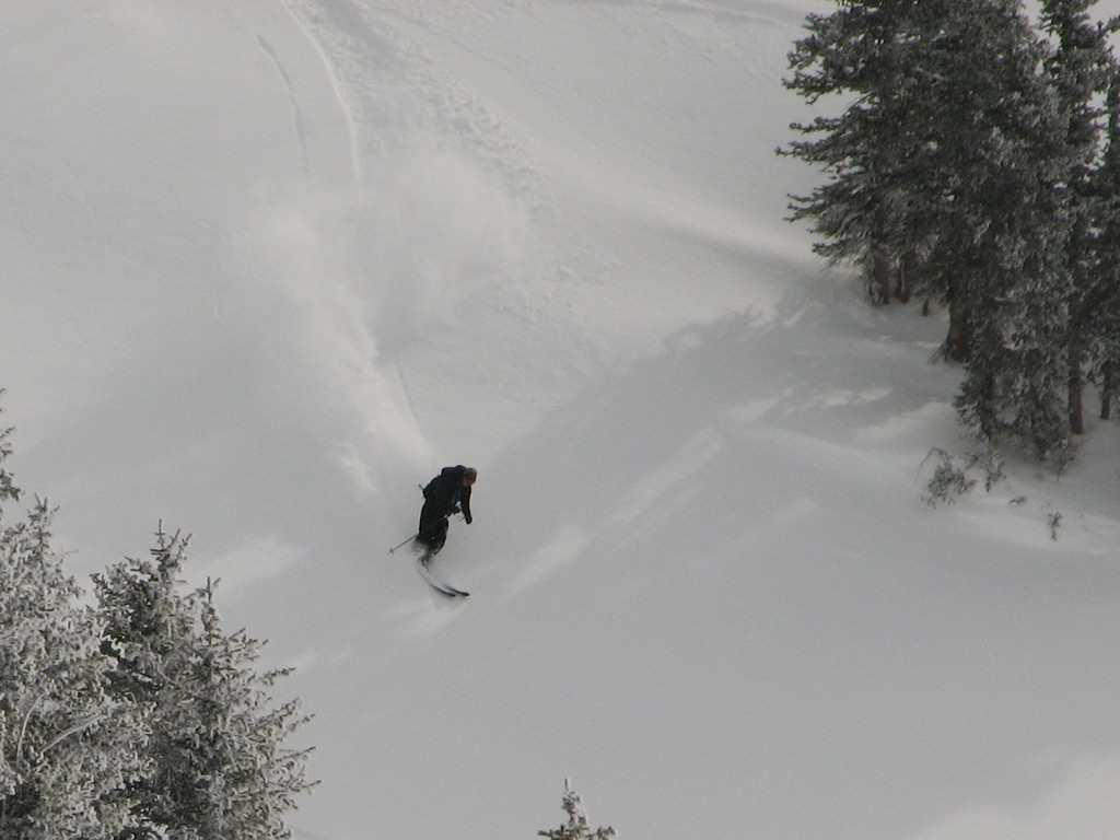 05 snowbird skidog sugarloaf peak 100207.jpg