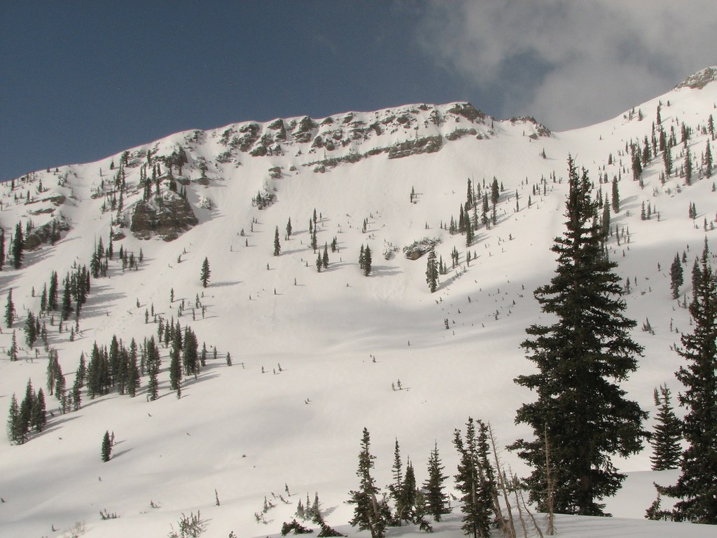 05 snowbird sundaycliffs 100522.jpg