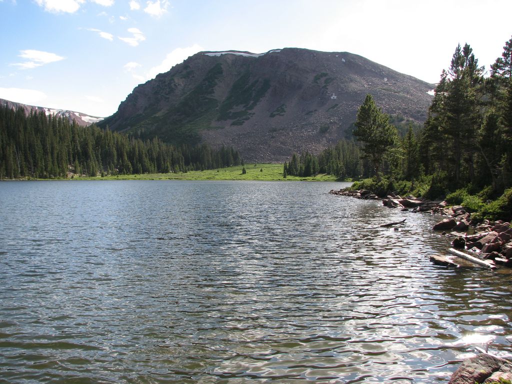 05 uintas bear lk 100717.jpg