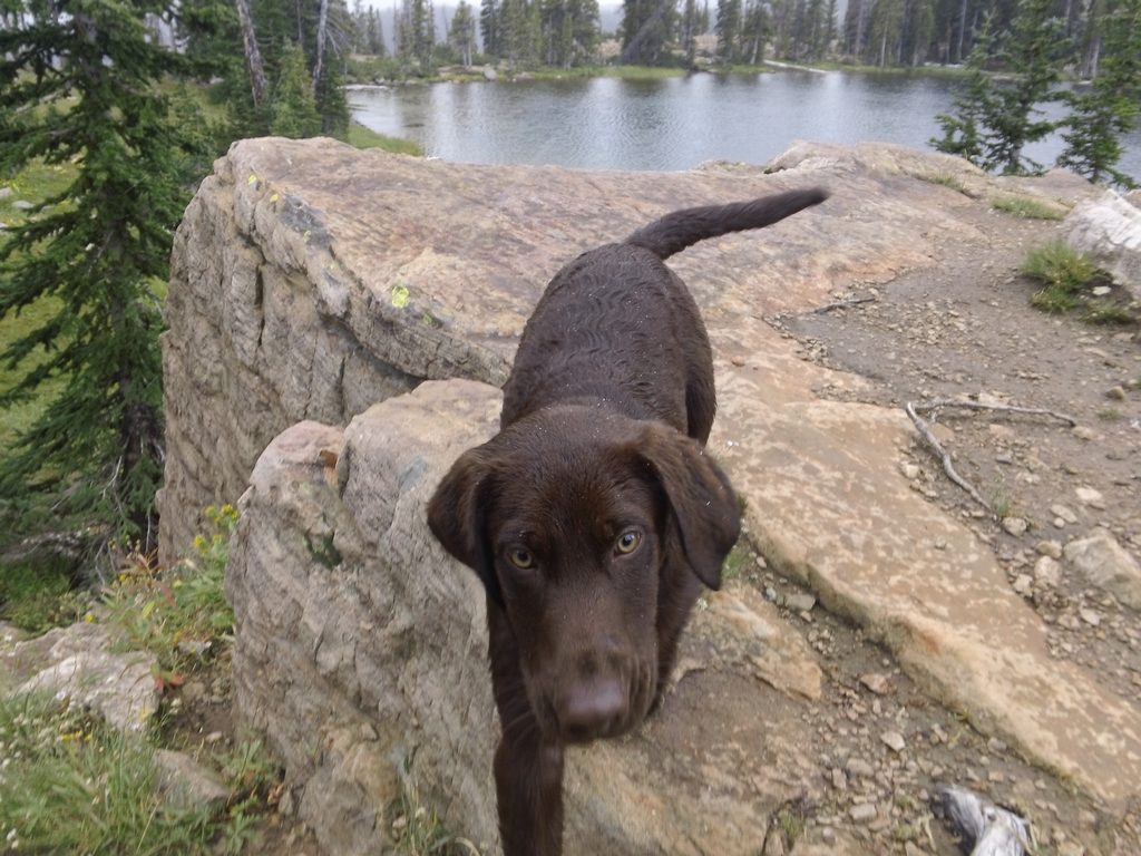 05 uintas jake 110917.jpg