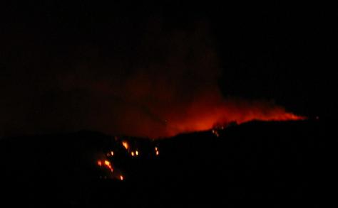 050807_griffith _fire7.JPG