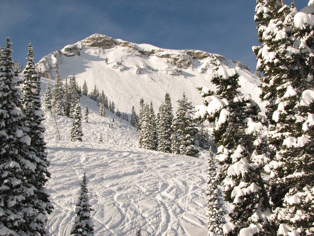 05_alta_backside_101224.jpg