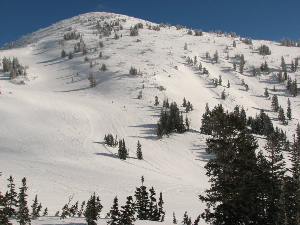 05_snowbird_sugarloafpeak_110102.jpg