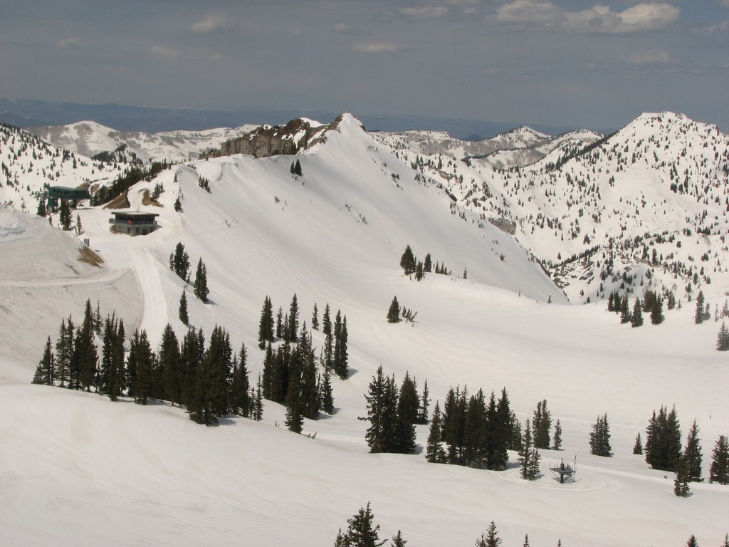 06 alta_germaniapass_yellowtrail_100508.jpg