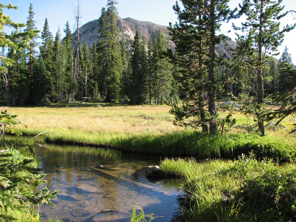 06 uintas meadow n of jewel lake 100904.jpg