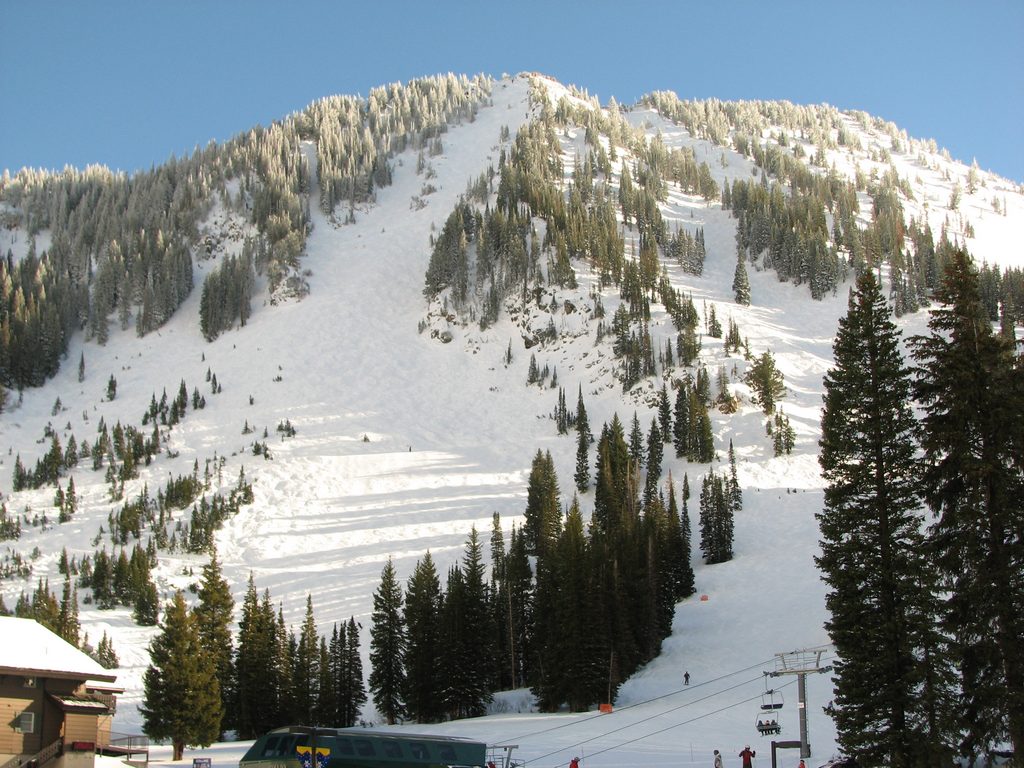 06_alta_highboy_101212.jpg