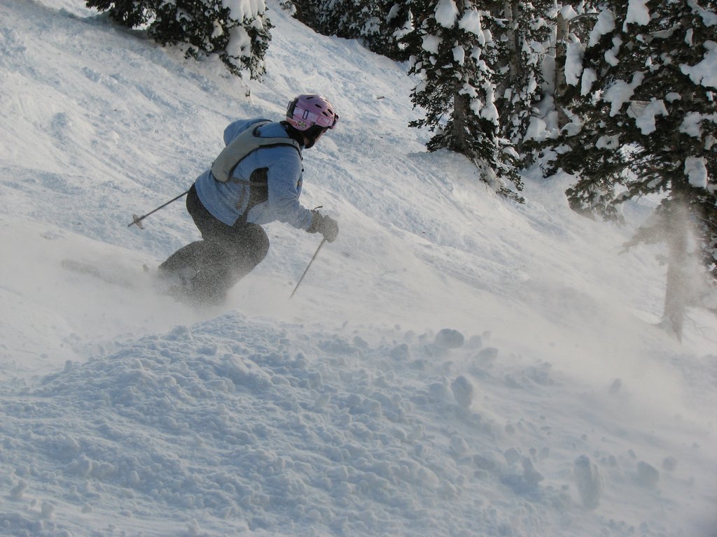 06_Alta_pam_eaglesnest_090131.jpg