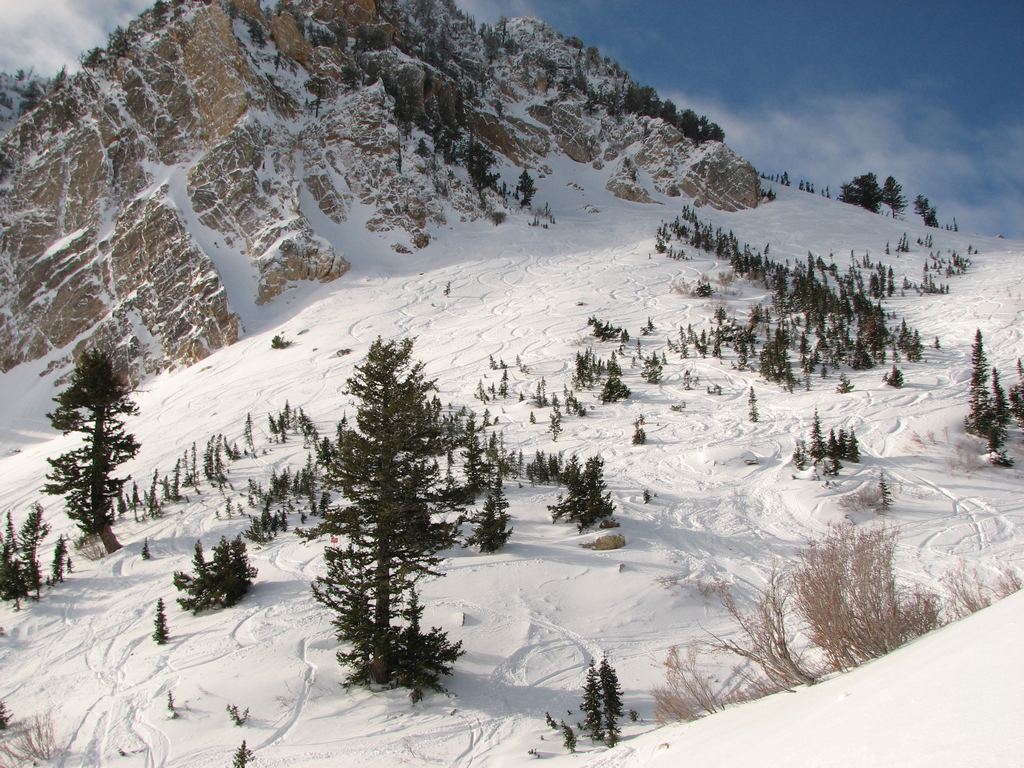 07 snowbasin cathedral 100103.jpg