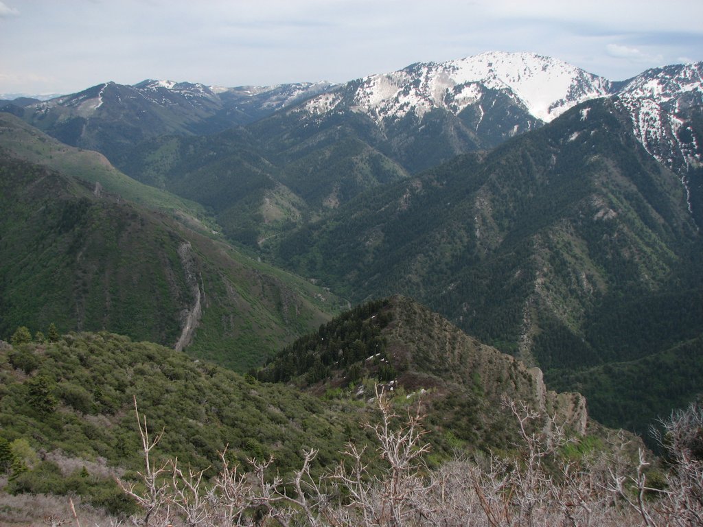 08 grandeur pk view east mill creek canyon 110612.jpg