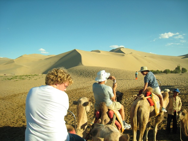 080308_camels.JPG