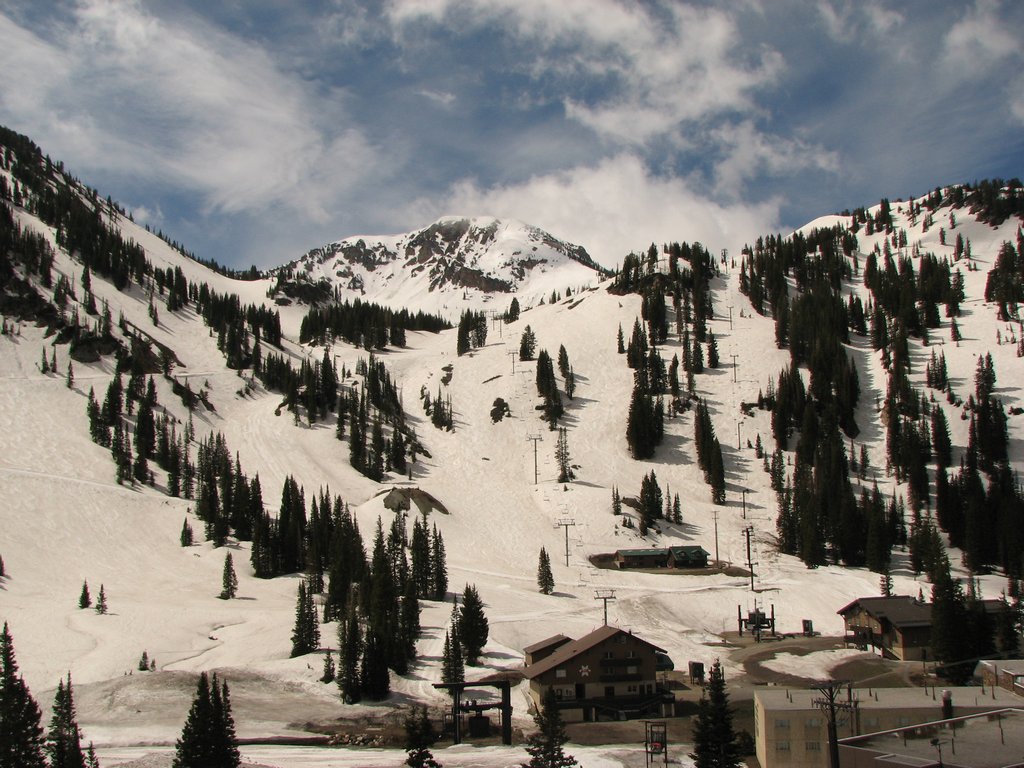 08_alta_collinsgulch_090525.jpg