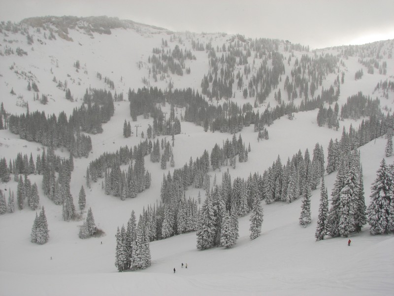 09 alta collins gulch 091214.jpg