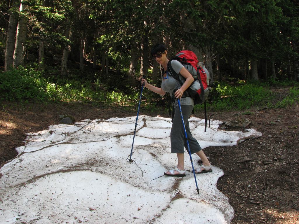 09_cardiff_fork_snow_trail_110724.jpg