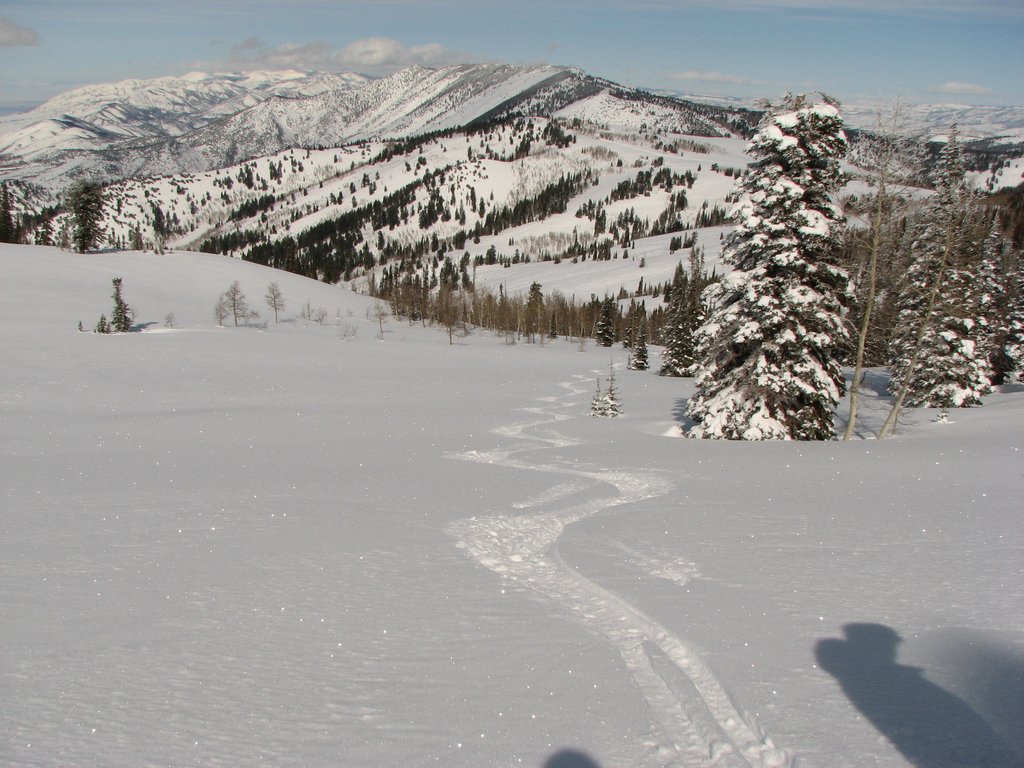 09_powdermt_cobabe_090219.jpg