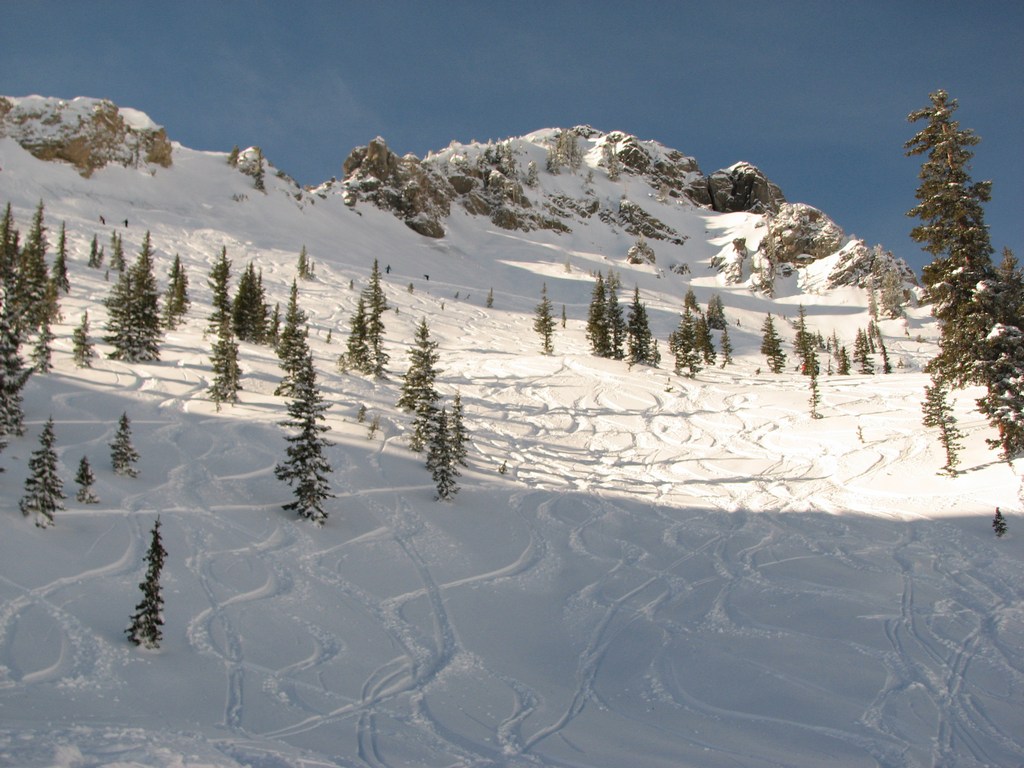 09_snowbird_bookends_101224.jpg