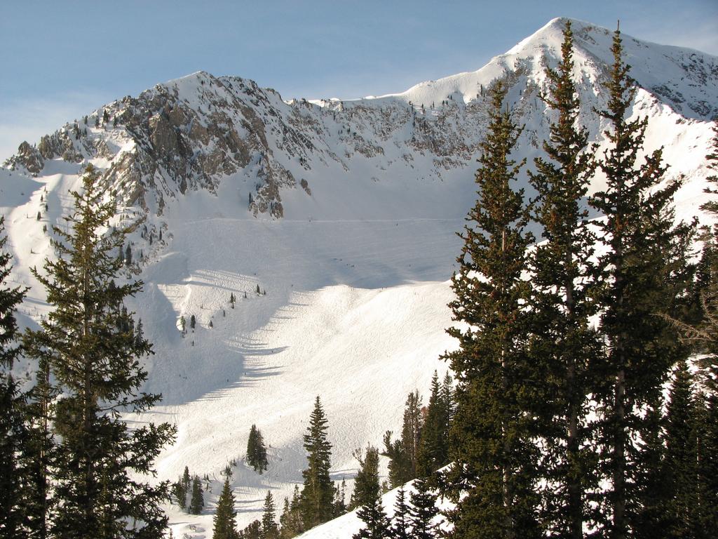 10 snowbird powder paradise 091219.jpg