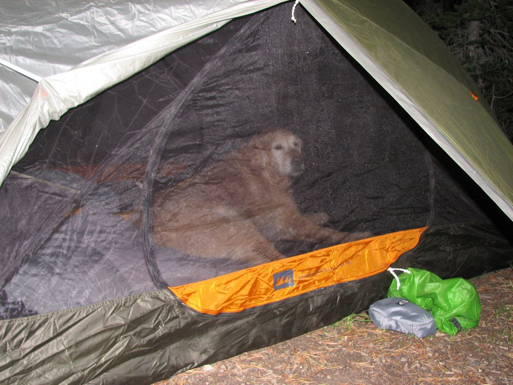 10 uintas jewel lake buddy tent 100904.jpg