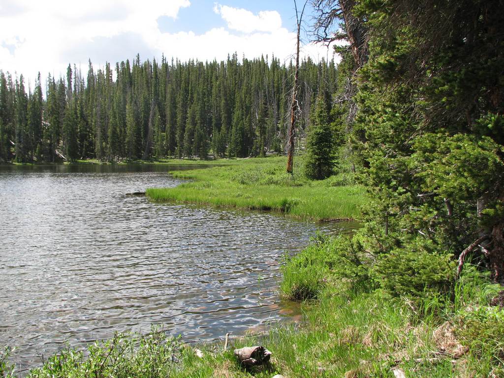 10 uintas sawmill lk 100718.jpg