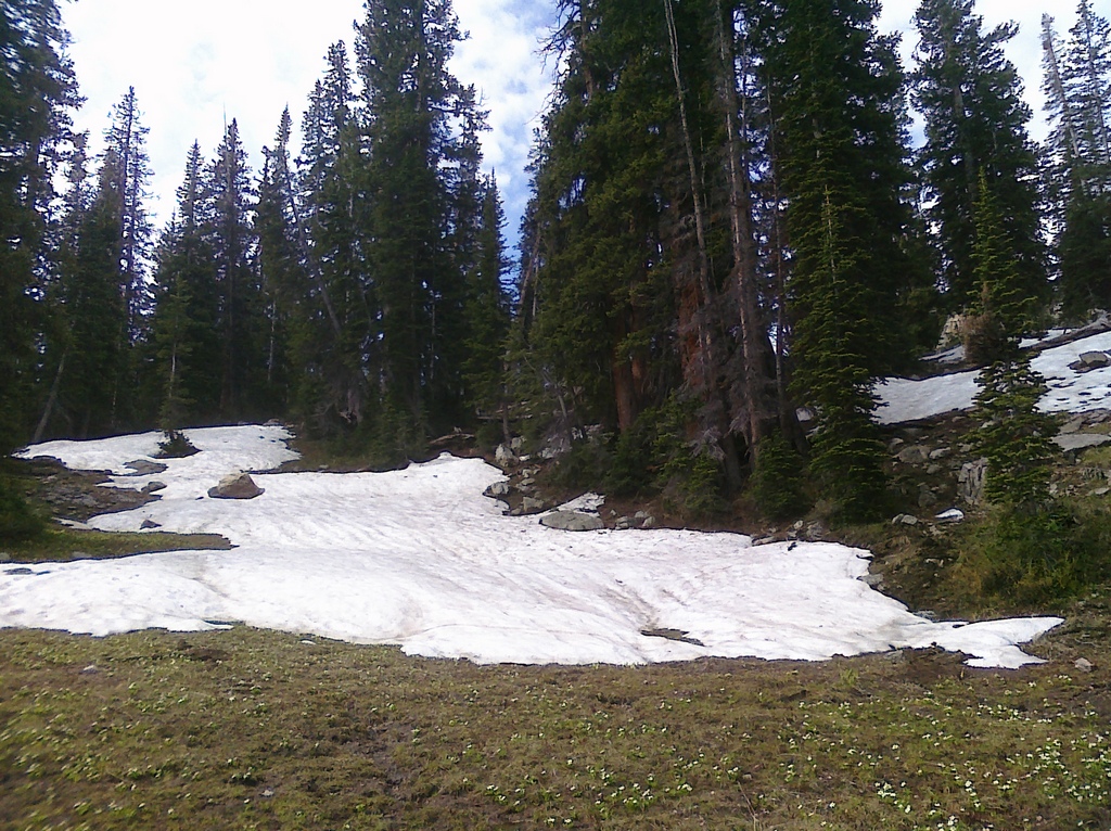 12 snow - Island Lake 2009-07-04.jpg