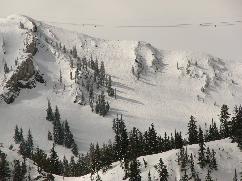 13_snowbird_uppercirque_110524.jpg