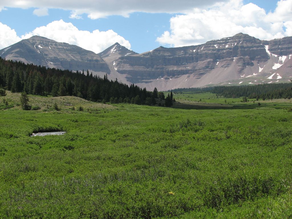 14 uintas henrys fork elkhorn meadow 100718.jpg