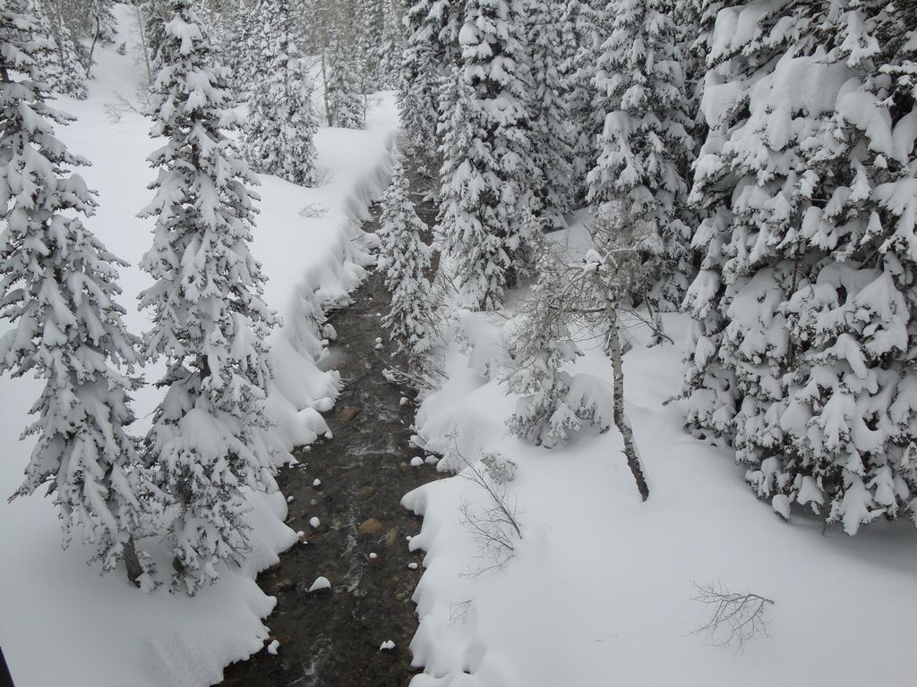 15 snowbird little cottonwood creek 100502.jpg