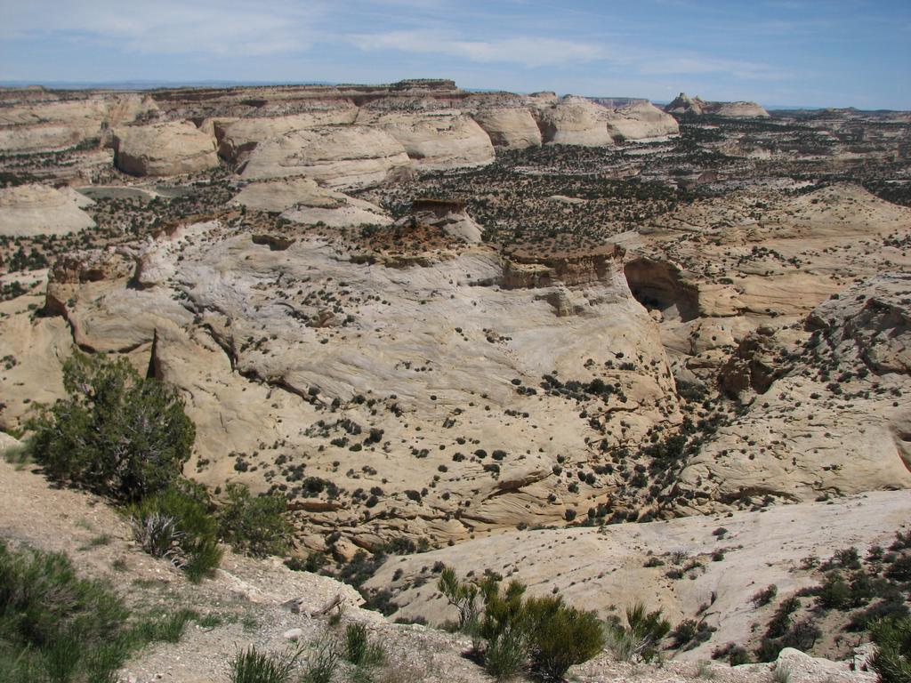 18 san rafael swell - eagle canyon 100531.jpg