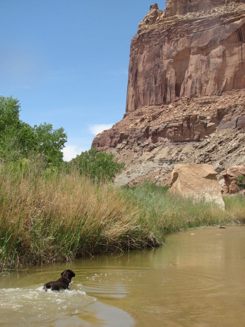 21 san rafael river - zach 100531.jpg