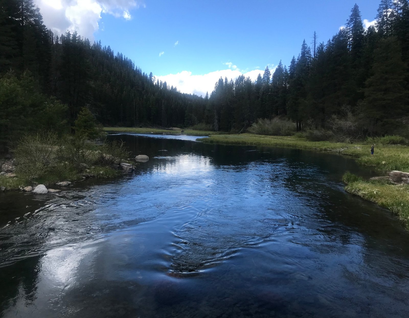 4207TruckeeRiver.JPG