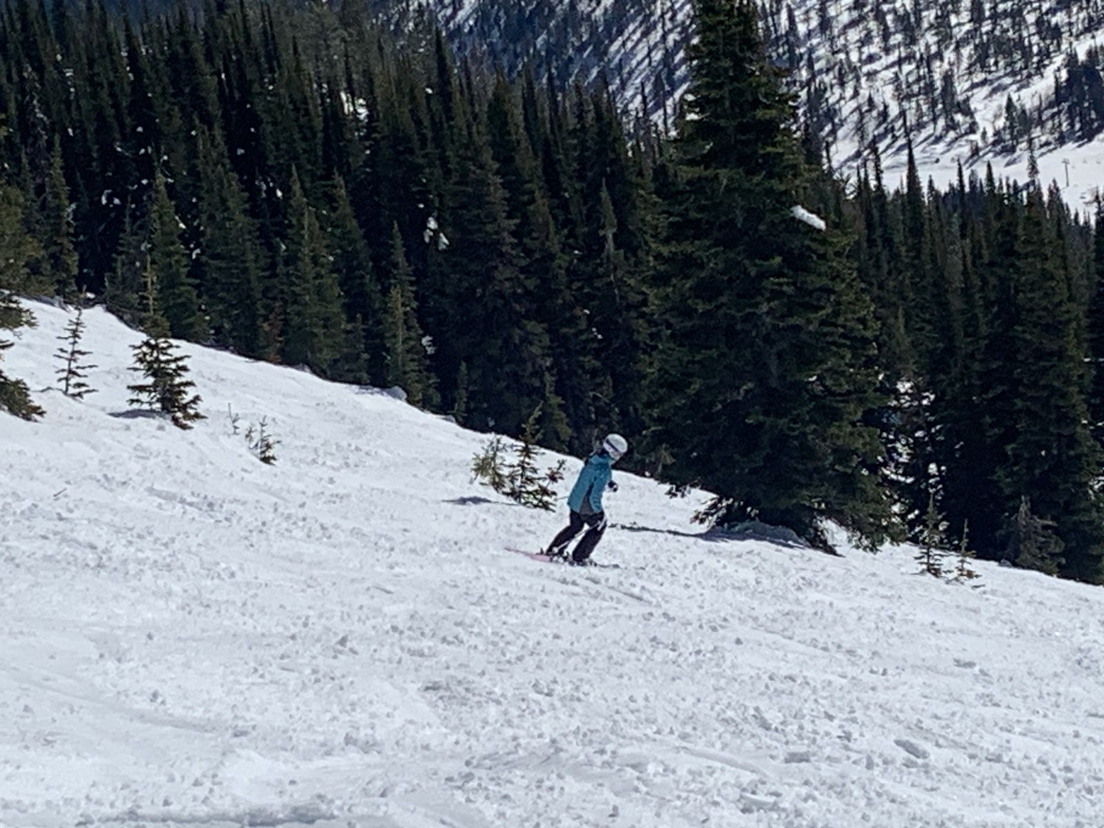 Whitefish MT, March 20 - 22, 2023 - Perfect Spring Skiing | Liftlines ...