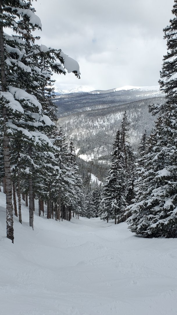 a-basin 7 mar face shot gully.jpg