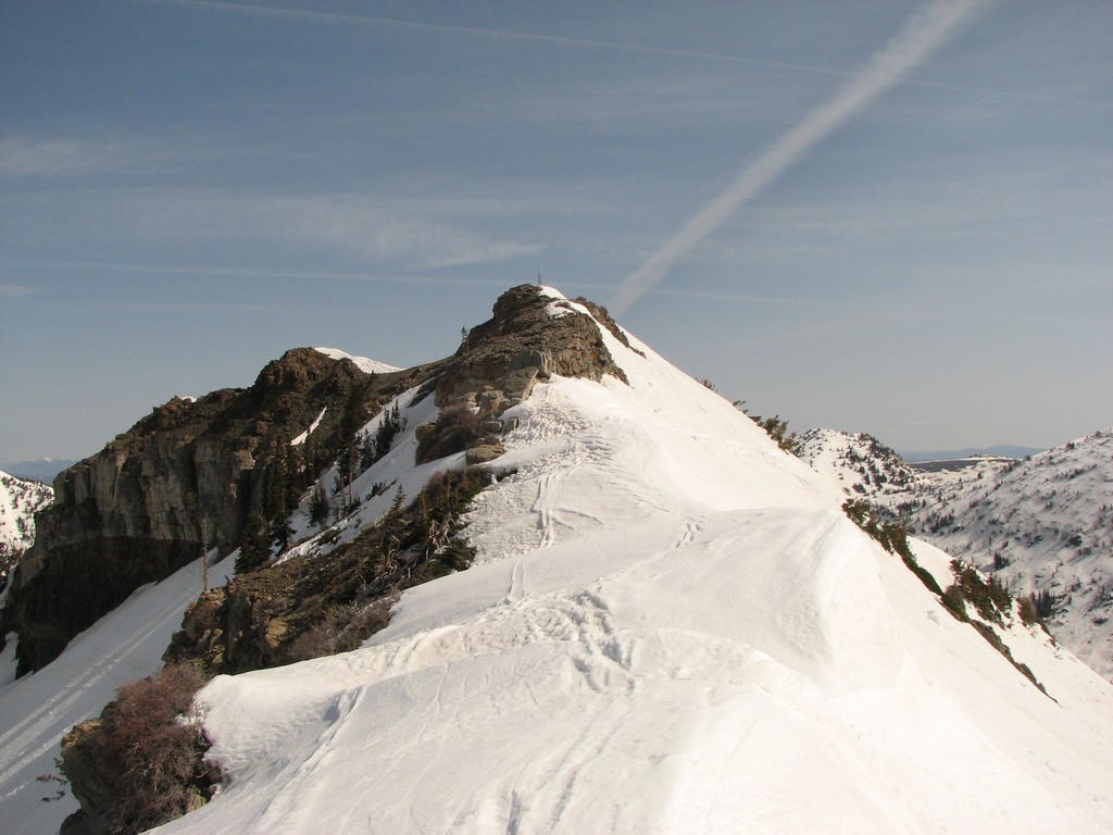 alta_greeleyridge_090510.jpg