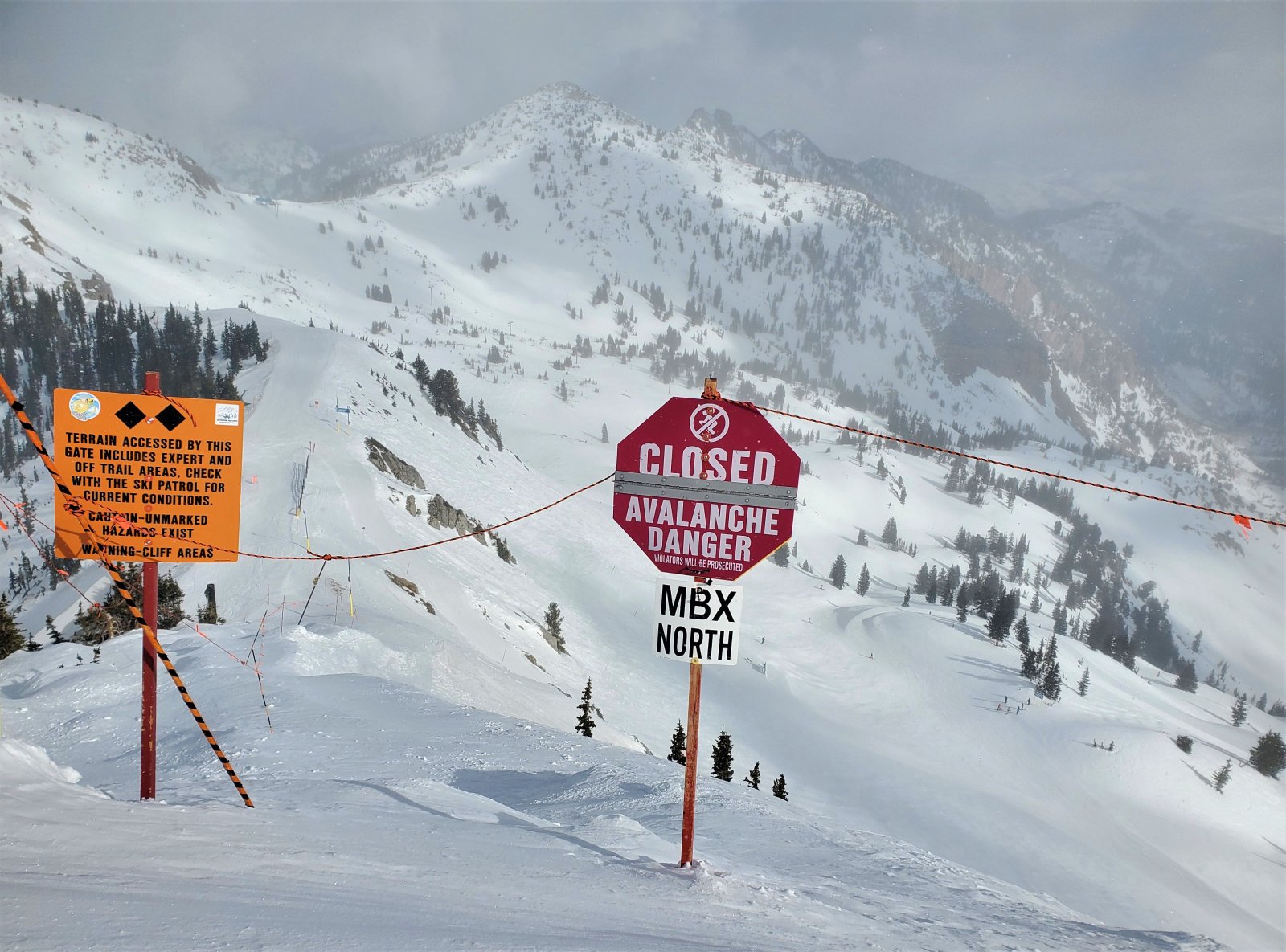 baldy chair 1 feb 22.jpg