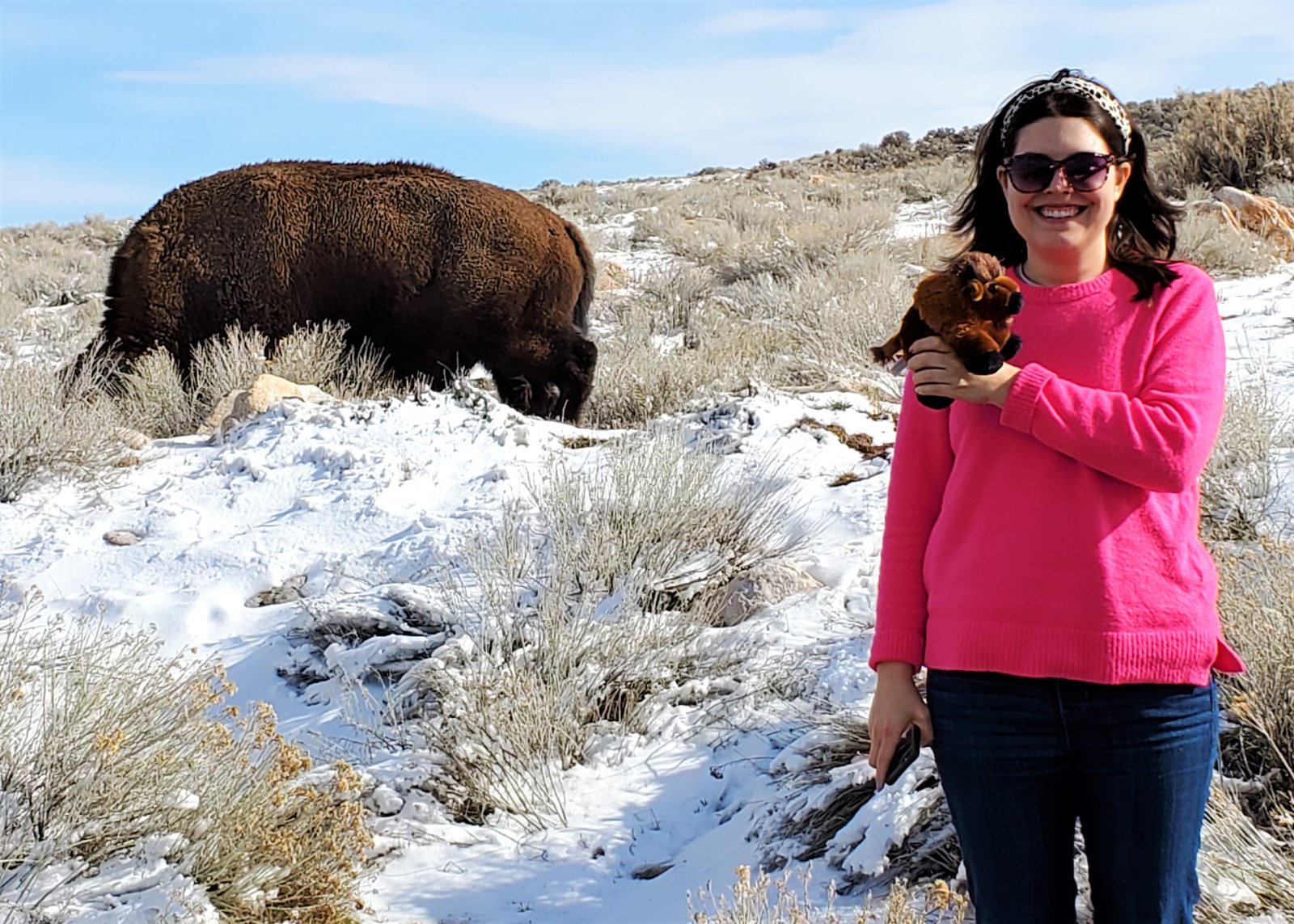 bison mar 6 antelope island.jpg