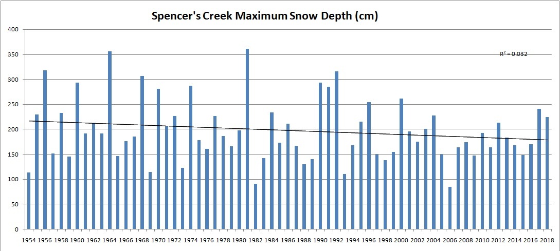 Spencer2018.jpg