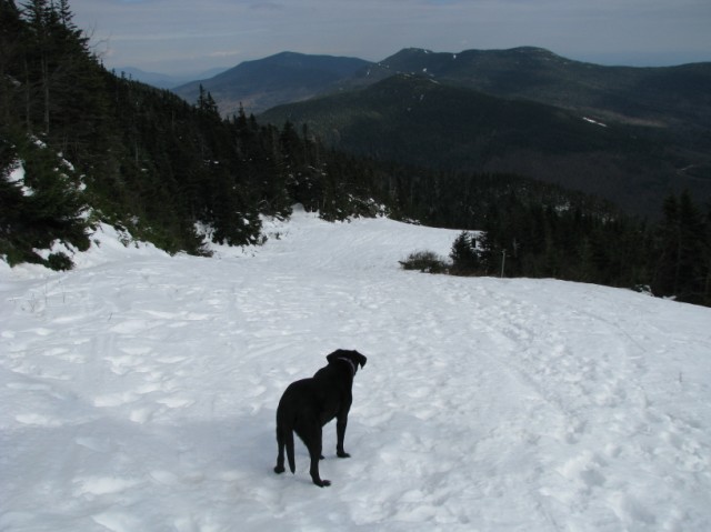 Stowe_October20 069.jpg