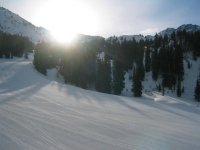 02 Albion Basin.jpg