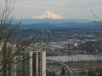 mt hood from portland.jpg