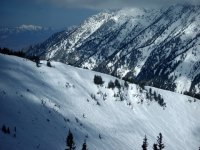 01 Alta tracks on baldy shoulder.jpg