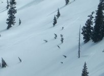 07 alta bc skier at catherines lake.jpg