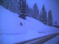 08 alta bypass sign buried.jpg