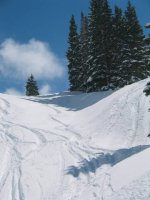 09 alta freshies at 1215h.jpg