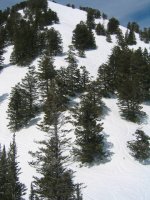 03 snowbasin allens.jpg