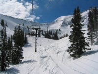 03 snowbird upper gad valley.jpg