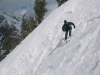 08 snowbird marc_c in candleabra.jpg