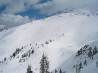 10 snowbird little cloud bowl.jpg