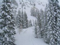 07 snowbird below gad chutes.jpg