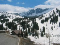 11 alta albion basin 050604.jpg